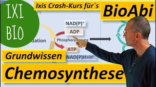 Chemosynthese  Grundwissen und Keywords zum Stoffwechsel chemoautotropher Organismen Bio Abitur [upl. by Wilow]