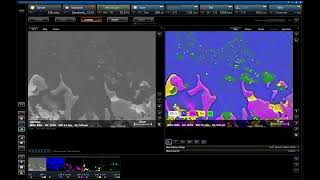 Live chemical mapping of SnCu solder region in AlSi alloy with ESPRIT LiveMap [upl. by Aivata119]