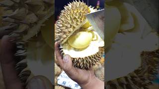 Pearl Jewel Exciting Durian Cutting Skills  Malaysian Street Food durian [upl. by Anavahs]