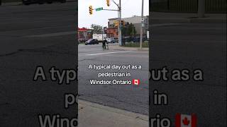 Canada ☹️ canada cdnpoli windsorontario yqg poverty mentalhealth addiction [upl. by Eydnarb596]