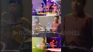 pemain tamborin soneta shortvideo shorts rhomairama sonetagroup music fyp reels tamborin [upl. by Hermina72]