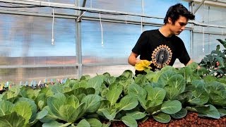 How Gardening Enables Interdisciplinary Learning [upl. by Fitz367]