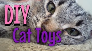 DIY Cat Toys [upl. by Fineman562]