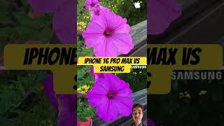 iPhone 16 pro max vs ￼ Samsung iphone16promax shorts [upl. by Feledy]