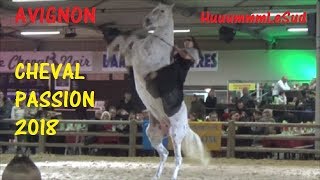 AVIGNONCHEVAL PASSION2018 [upl. by Haral]