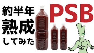 PSBを約半年熟成したらどうなる？光合成細菌が生きているのか顕微鏡を使ってしらべてみたら、そこには信じられない光景が！？ [upl. by Pasahow]