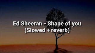 Ed Sheeran  Shape of you Slowed  reverb [upl. by Laureen645]