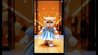 cute cat 💕💕😻😻🌹🥳🥳💯👑👑🙀🙀beautifulcat verynice supercat lovelyecats cutecat shortvideo [upl. by Leber618]