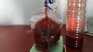 Manzanas con chamoy versión mejorada 🙃🙃🙃 [upl. by Elylrac]