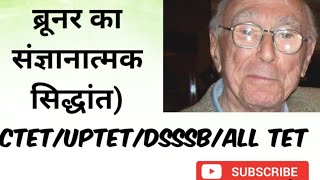 Bruners theory of cognitive development in Hindi bed  first year CTET [upl. by Ahsinnek560]