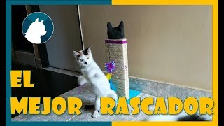 🐈 Rascador Para gatos Casero fácil 🐾 Paso a Paso 😺 [upl. by Bolme818]