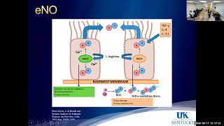 Asthma 2 with Dr Khosravi 09172024 [upl. by Aurel]