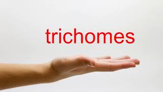 How to Pronounce trichomes  American English [upl. by Ytsirhk119]