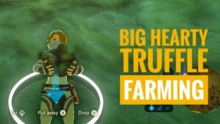 BotW Big Hearty Truffle Farming [upl. by Christensen]