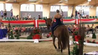 FEI European Vaulting Championships 2013  Female Senior Compulsory 3rd Place  Simone Jäiser [upl. by Pizor536]