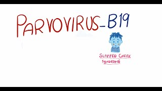 Parvovirus B19  Fifth Disease  pathogenesis clinical features diagnosis and management [upl. by Allak279]