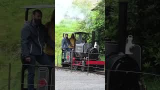 Wren footplate rides at Devils Bridge  Rheidol Festival of Steam 2024 steamtrain railway train [upl. by Nerehs]