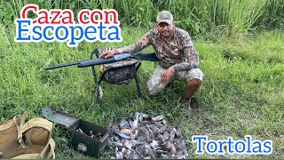 Cacería de tórtola con escopeta beretta xtrema [upl. by Lesly]