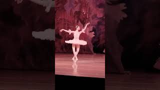 Best ballet moves ever Such a delicate and graceful performance balletcore balletlove ballet [upl. by Hguh]