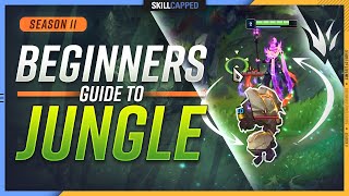 HOW TO JUNGLE  The BEST Beginners Jungle Guide for Season 11  League of Legends [upl. by Cirri485]