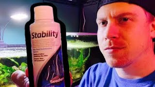 Cycle Your Aquarium with Seachem Stability [upl. by Eetnahc]