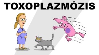 Toxoplazmózis  csak egyszerűen [upl. by Ravert834]