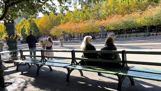 Stockholm Walks Kungsträdgården in October colors [upl. by Irtimed]