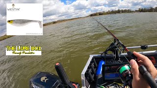 Shadteez compilation  pike perch and zander candy lurefishing westinfishing lurefishinguk [upl. by Gill88]