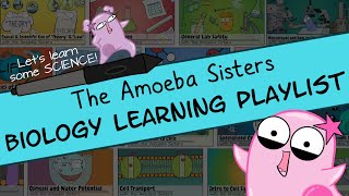 Amoeba Sisters Biology Learning Playlist Introduction [upl. by Hanahs461]