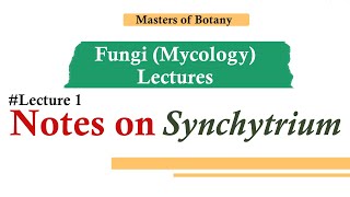 Lecture 1  Synchytrium  Fungi Mycology Lecture  Notes [upl. by Einallem]