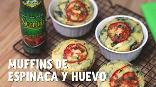 Muffins de Espinaca  Nutrioli Spray [upl. by Novanod424]