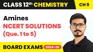 Amines  NCERT Solutions Que 1 to 5  Class 12 Chemistry Chapter 9  CBSE 202425 [upl. by Meeks]