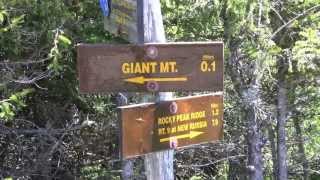 Giant Mtn Hiking Roaring Brook Trail [upl. by Rengaw]