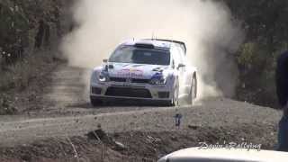 WRC Rally Guanajuato Mexico 2014 Day 3 [upl. by Darleen]