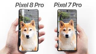 Pixel 3 XL vs iPhone XS Max Camera Test Comparison [upl. by Vaios869]