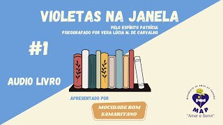 Áudio livro  Violetas na janela  Capítulo 1 [upl. by Eenehs]