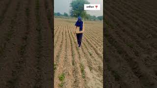 Royal jatni statusdesi life Status shortvideo trending farming jmidar kisankisanstatus jatni [upl. by Airom879]