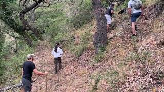 Truffle hunting near Bracciano Italy June 2024 [upl. by Nowtna]