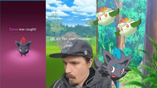 One Last Chance To Catch This Elusive Shiny Pokémon pokémongo shinyhunting [upl. by Eelra]