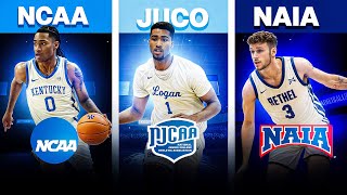 The Different Levels of College Basketball Explained D1D2D3NAIAJUCO [upl. by Narual466]