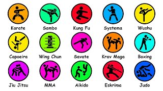 Every Martial Art Type Explained in 12 Minutes [upl. by Ahsetra]