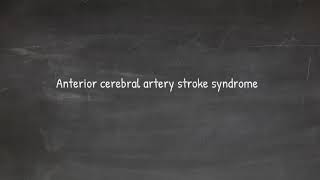 anterior cerebral artery stroke  all you need to know [upl. by Geis]