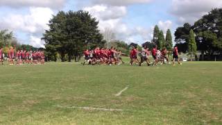 Pukekohe high school haka [upl. by Scherle]