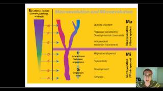 Micro vs Macro Evolution [upl. by Yeldar890]