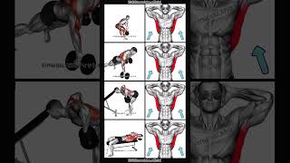 Back workout using Dumbbell [upl. by Ycul700]