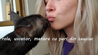 Cum gestionam parul de animale Cu rabdare si un uscator de rufe [upl. by Arraek609]