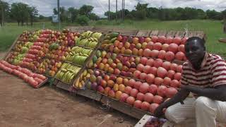 Tzaneen and Surroundings  South Africa Travel Channel 24 [upl. by Flem]