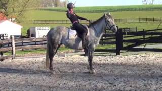 Basic Equitation for a Balanced Seat [upl. by Attennot]