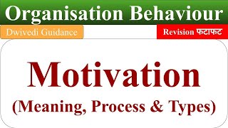 motivation meaning types of motivation process of motivation organisational behaviour motivation [upl. by Animahs718]