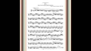 Berbiguier Study Nr 1 in C major [upl. by Hokanson]